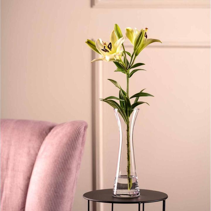 Actual product image Leonardo Vase Gia 26 cm, Transparent (1x)