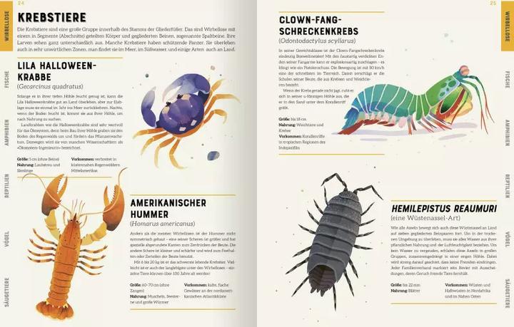 Produktbild Das grosse Lexikon der Tiere (Deutsch, Andreas Jäger, Jarom Vogel, Jules Howard, 2022)