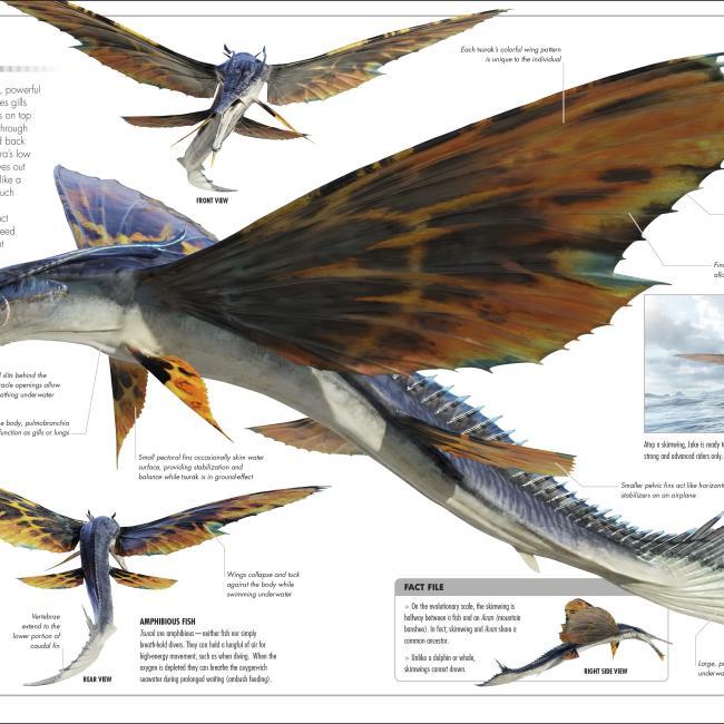 Actual product image Avatar The Way of Water The Visual Dictionary (English, Ben Procter, Dylan Cole, Joshua Izzo, Reymundo Perez, Sigourney Weaver, Zachary Berger, 2022)
