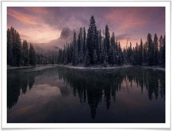 Produktbild Trenddeko Fairytale Forest (40 x 30 cm)