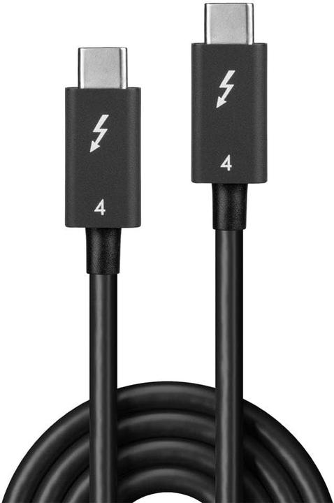 Produktbild Lindy USB C – USB C (1 m, USB 4.0, 100 W)