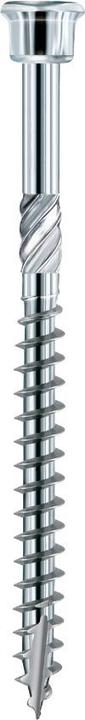 Actual product image OK-Line Terrace screws C1 (500 Screws per piece)