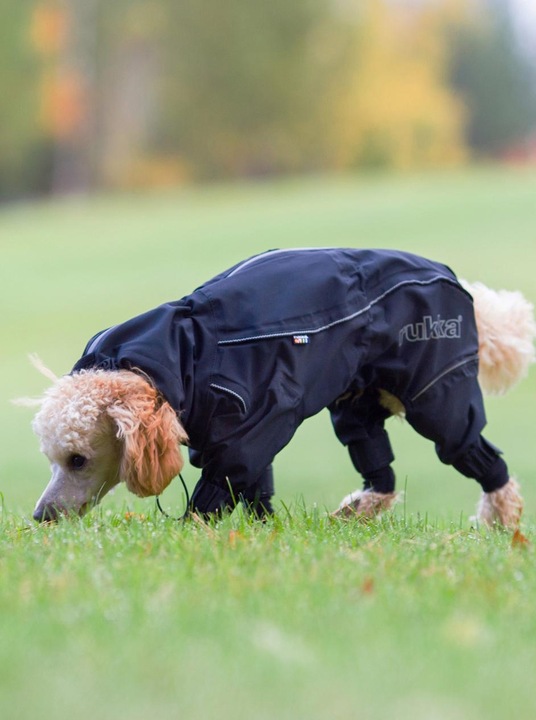 Produktbild Rukka Protect (45, Hundeoverall)