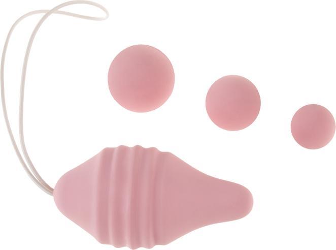 Image du produit Femintimate Pelvix (9 -34 g)