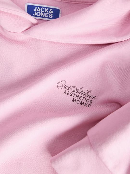 Produktbild Jack & Jones Junior Kapuzenpullover ROAR Hoodie (176)