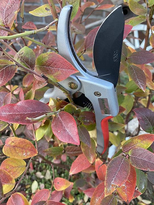 Produktbild Kleeblatt Gartenschere