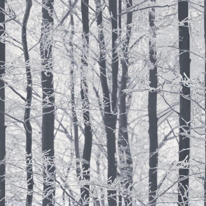 Produktbild Arthouse Tapete Vereiste Bäume (53.5 x 978.5 cm)