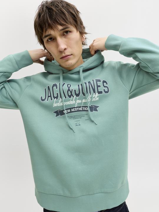 Produktbild Jack & Jones JJELOGO SWEAT HOOD 2 COL 25/26 NOOS (XL)