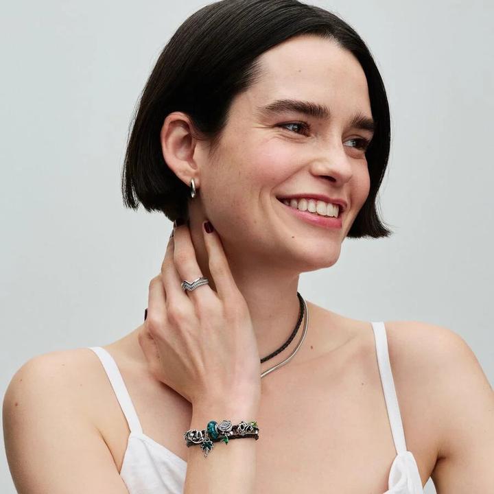 Actual product image Pandora Moments (Enamel)