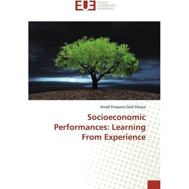 Socioeconomic Performances: Learning From Experience, Fachbücher von Aimyll Prosperre Dzali Dikapa