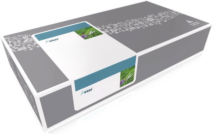 Actual product image Astar 24B6009 (M)