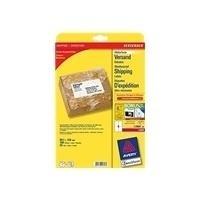 Actual product image Avery Purpose form L7994