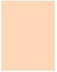 Actual product image Estée Lauder Double Wear (#1C1 Cool Bone)