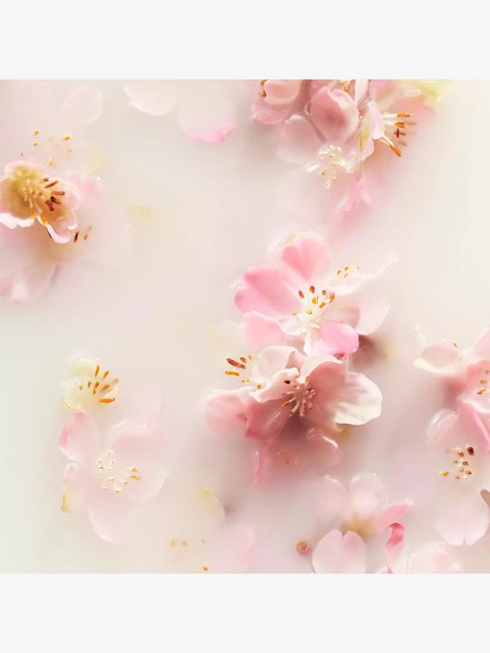 Productafbeelding Rituals Het ritueel van Sakura (70 ml)