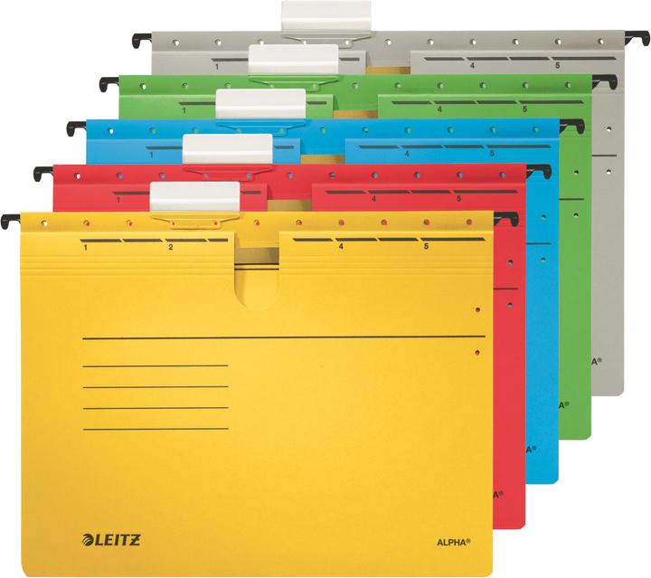 Produktbild Leitz ALPHA Hängehefter, A4, kaufmännische Heftung, grau (A4, 1 x)