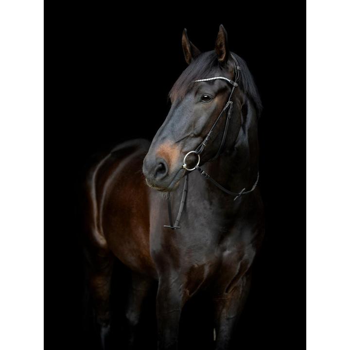 Produktbild Catago Gentle