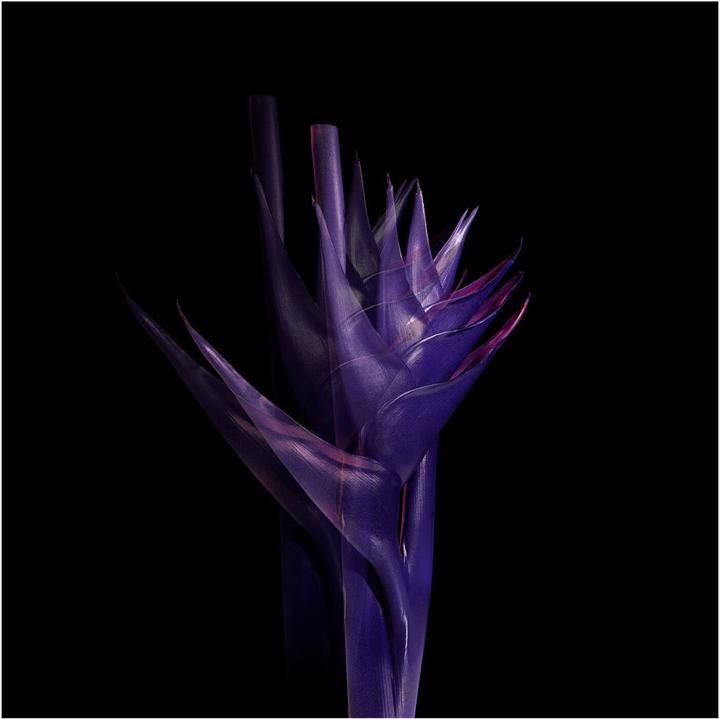 Actual product image Greenborn Deo Stick Bitter Sweet (Stick, 50 ml)