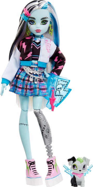 Actual product image Monster High Frankie Stein Doll With Pet And Accessories