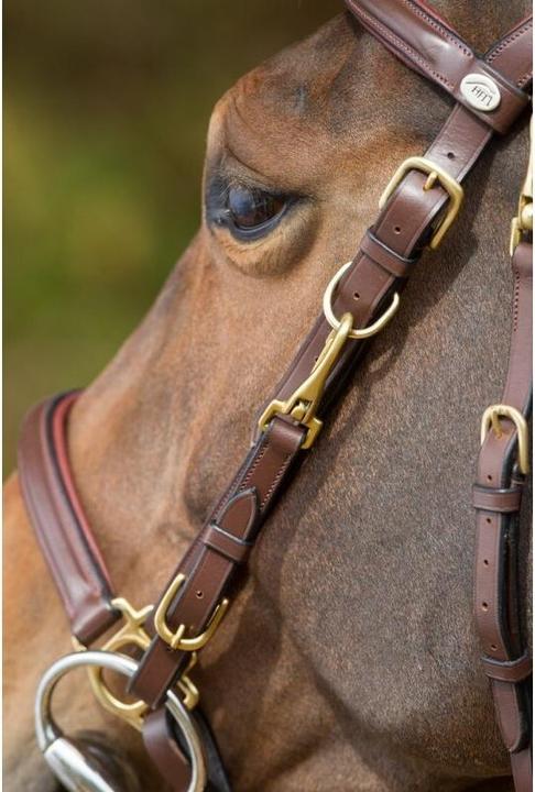 Image du produit HFI Master Combo