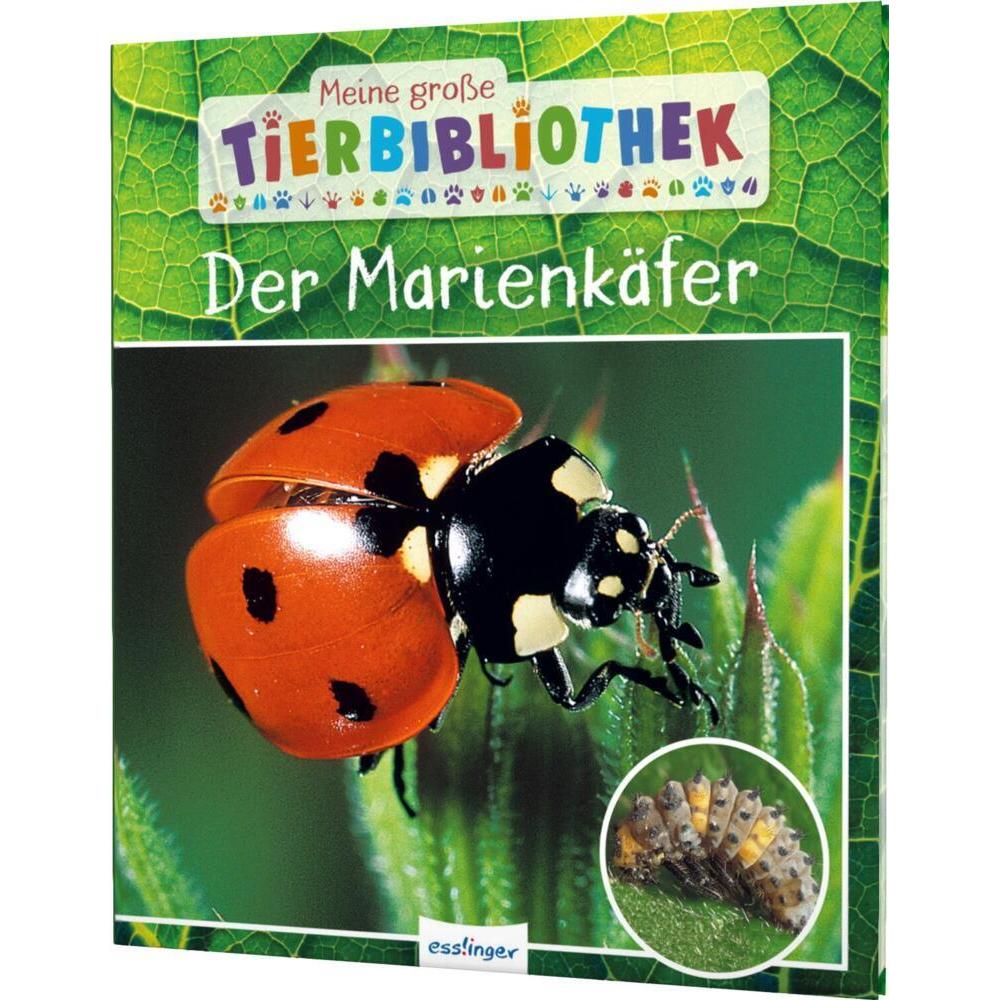 Meine grosse Tierbibliothek: Der Marienkäfer, Kinderbücher von Valérie Tracqui