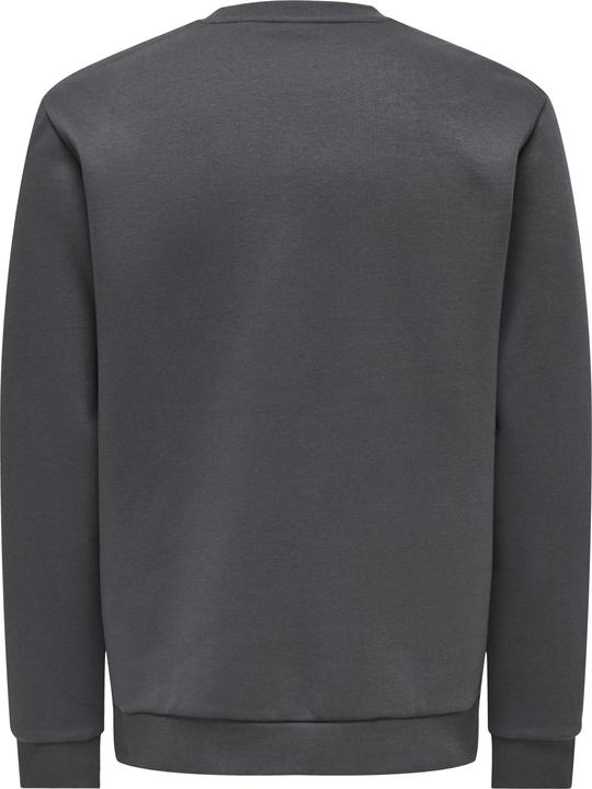 Produktbild Only & Sons Onsceres Crew Neck Noos (XXL)