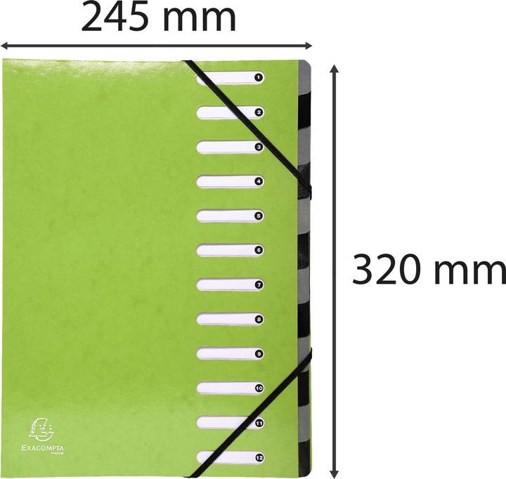 Actual product image Exacompta Folder Iderama (A4, 1x)