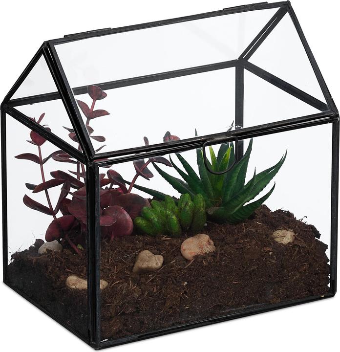 Produktbild Relaxdays Pflanzenterrarium aus Glas Hausform