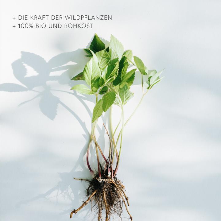 Produktbild Kruut Wohl - natürlicher Kräuterauszug (4 x 50 cl)