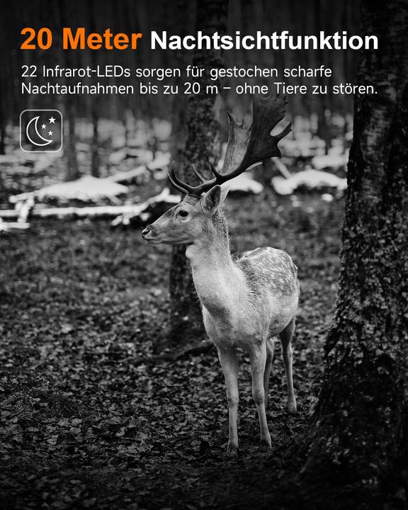 Actual product image Rollei HD-30 wildlife camera