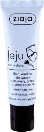 Ziaja Jeju Fluid-Concealer - Natural Proofreader (Natural)