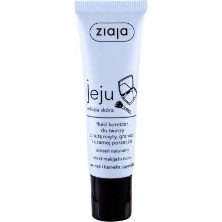 Ziaja, Concealer, Jeju Fluid-Concealer - Natural Proofreader (Natural)
