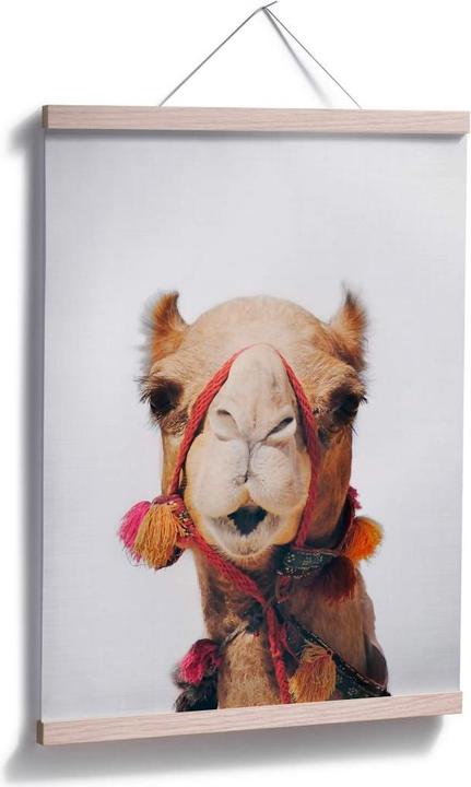 Produktbild Trenddeko Das Kamel (80 x 100 cm)