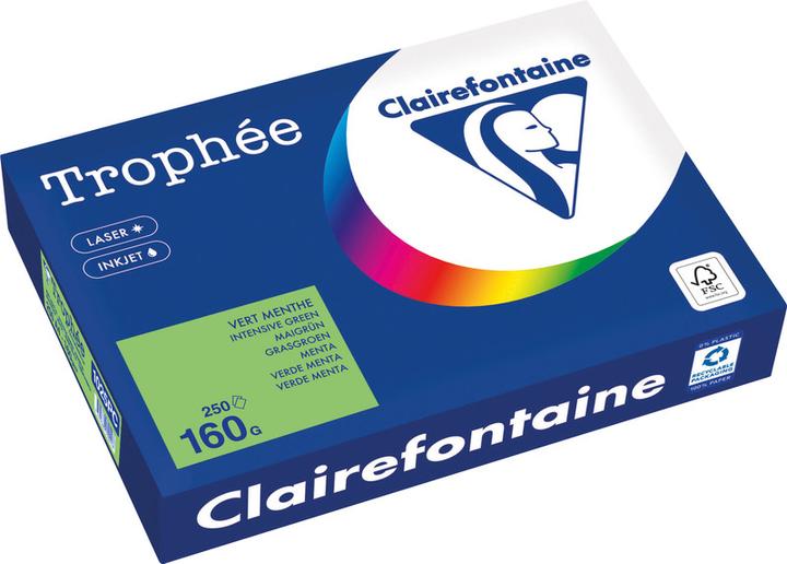 Actual product image Clairefontaine Universal paper Trophée coloured (160 g/m², 250 x, A4)