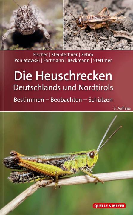 Produktbild Die Heuschrecken Deutschlands und Nordtirols (Deutsch, Jürgen Fischer, Thomas Fartmann, Andreas Zehm, Daniela Steinlechner, Dominik Poniatowski, Armin Beckmann, Bayerische Akademie für Naturschutz und Landschaftspflege (ANL), Christian Stettmer, 2020)