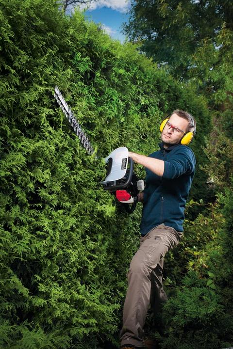 Actual product image Scheppach HTH250/240P Hedge Trimmer 1hp (Petrol)