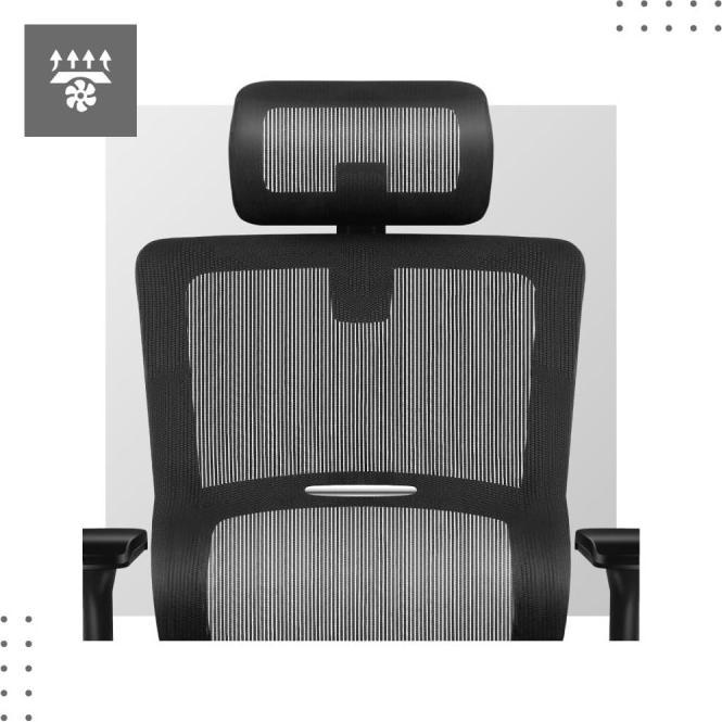 Produktbild Mark Adler Expert (40 - 48 cm)