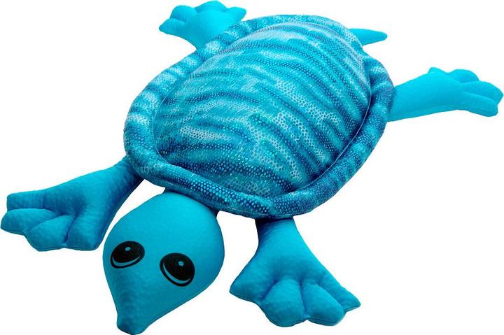Actual product image Manimo Weight turtle 2 in 1