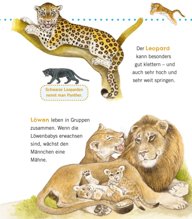 Immagine prodotto Unkaputtbar: Erstes Wissen: Grosse Tiere (Tedesco, Petra Klose, 2021)