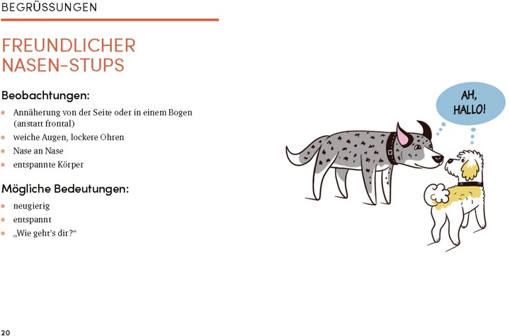 Produktbild Das kleine Buch der Hundesprache (Deutsch, Lili Chin, 2022)