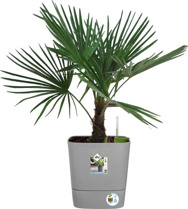 Produktbild Elho Blumenschale (38 cm)