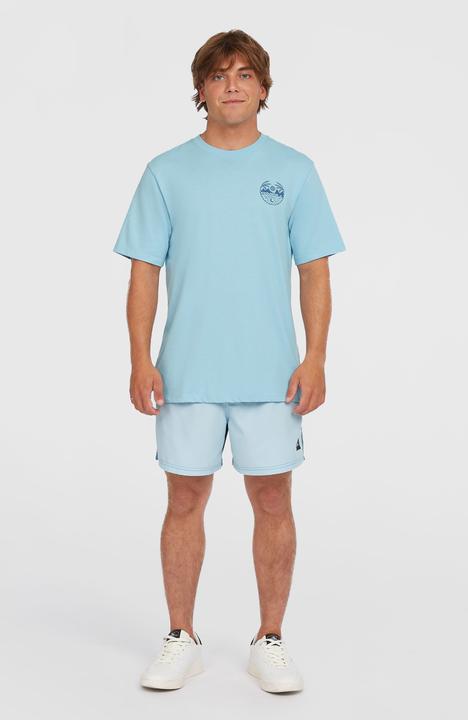 Actual product image O'Neill Back Print T-Shirt (S)