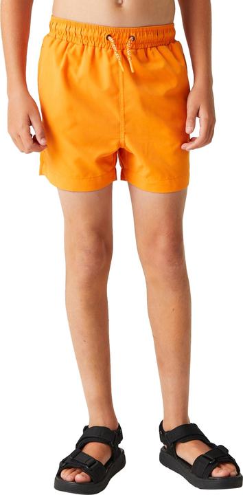 Produktbild Regatta Skander III Kurze Hose (140)