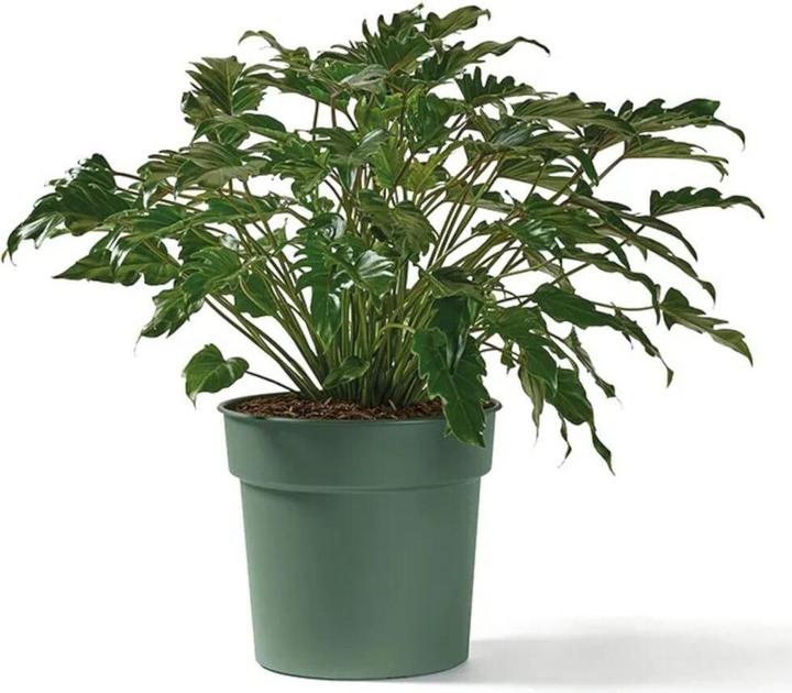 Produktbild Euro3plast Pflanzkübel Tellus Ø 25 cm salbei Greener