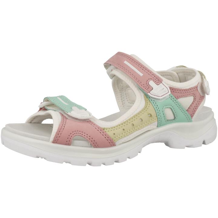 Multicolor