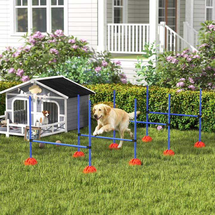 Immagine prodotto PawHut Agility Set Hunde Kunststoff Blau (Taglia unica, Destrezza)