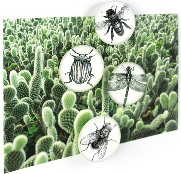 Produktbild Trendform Eye (4x)