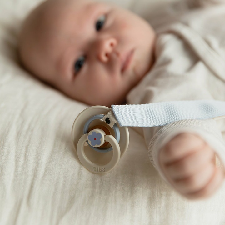 Produktbild Bibs Schnullerclip (1 x, ab Geburt)