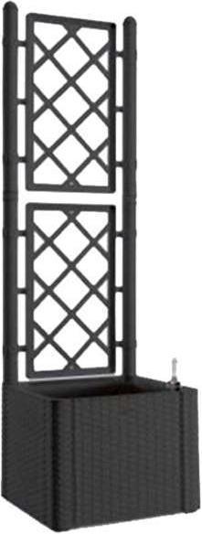 Stefanplast Fioriera Deluxe Qta Antracite Spalle (43 x 43 x 142 cm)