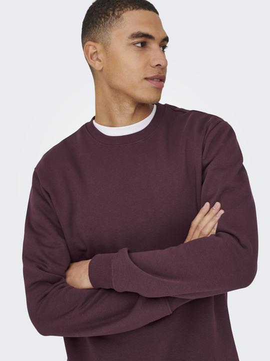 Immagine prodotto Only & Sons Onsconnor Reg Crew Neck Sweat Noos (L)