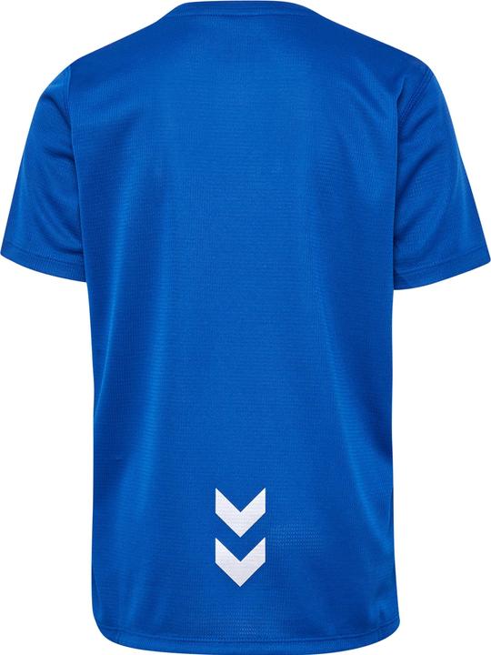 Trueblue